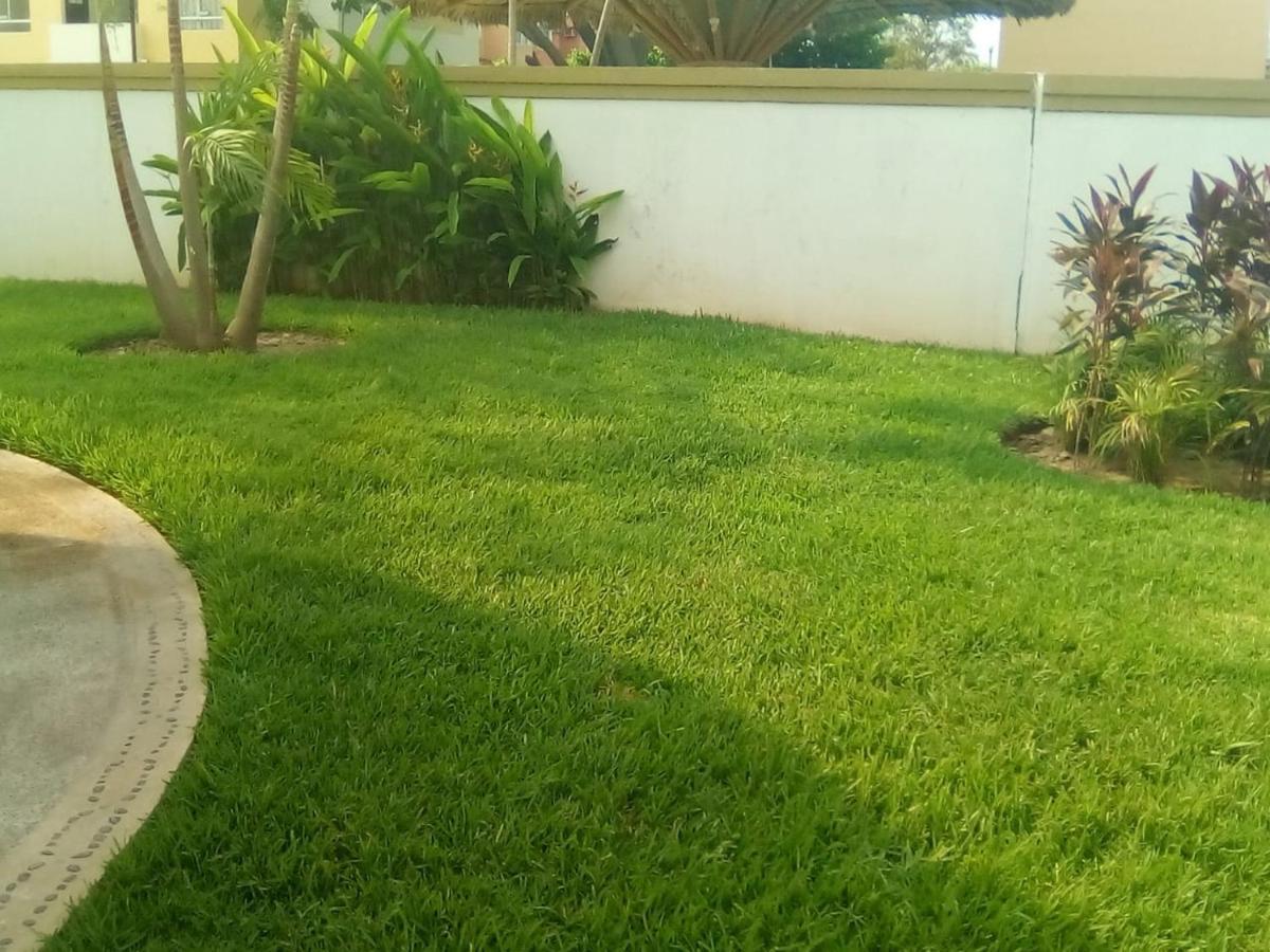 Victor House Apartment Acapulco Ngoại thất bức ảnh